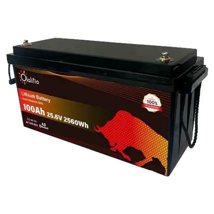 Batería Litio 24V 100Ah Olalitio OLA-24-100-P Bluetooth - Baterías de Lítio