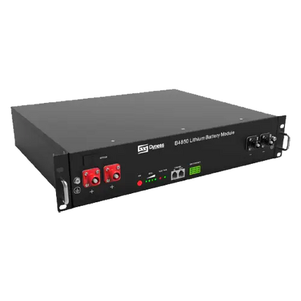 Batería Litio Dyness B4850 48V 2,4 kWh - Tiensol