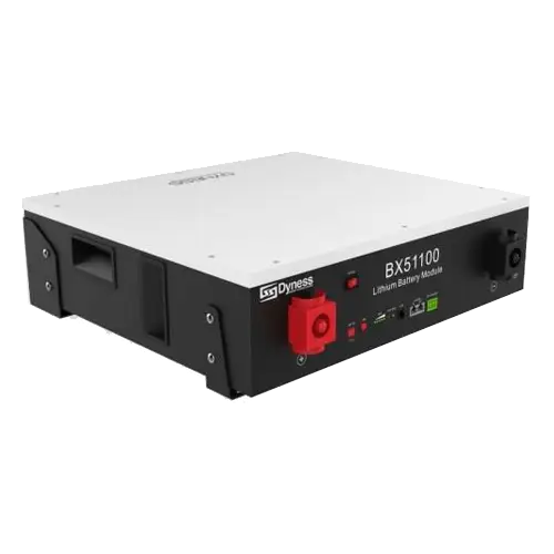 Batería Litio Dyness BX5100 48V 5,12kWh LiFePO4 - Baterías de Lítio