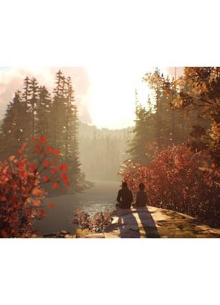 Juego para Consola Sony PS4 Life Is Strange 2 - Tiensol