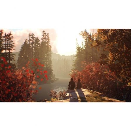 Juego para Consola Sony PS4 Life Is Strange 2 - Tiensol