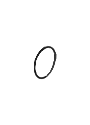 Repuesto Lorentz PU CS - 17 - 1 O - Ring 48,5x4 (Fig. 12) - Tiensol